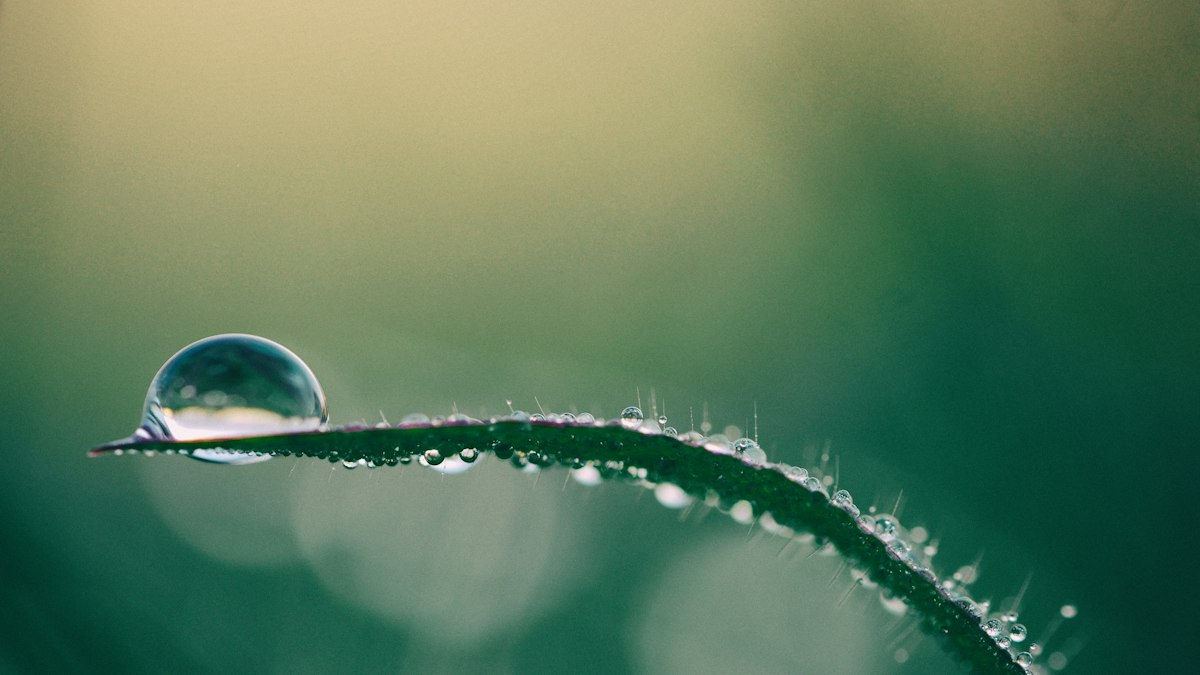 austria visa