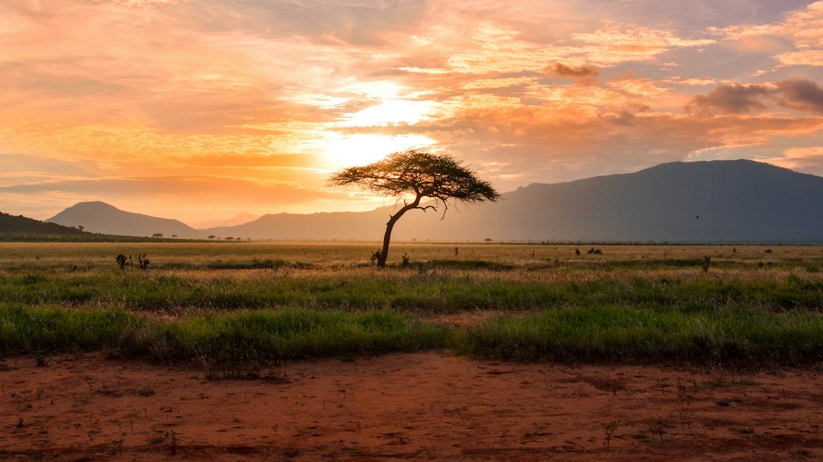 malawi visa