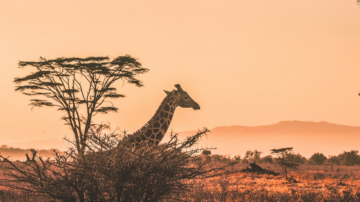 mayotte visa