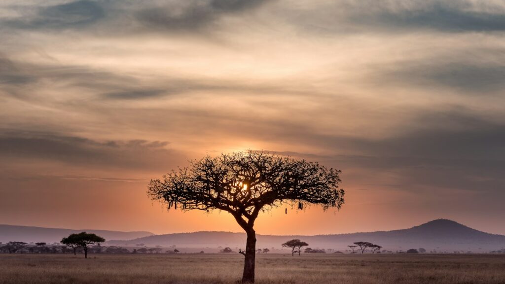 Zambia Visa 2026: Price, Requirements & How to Apply